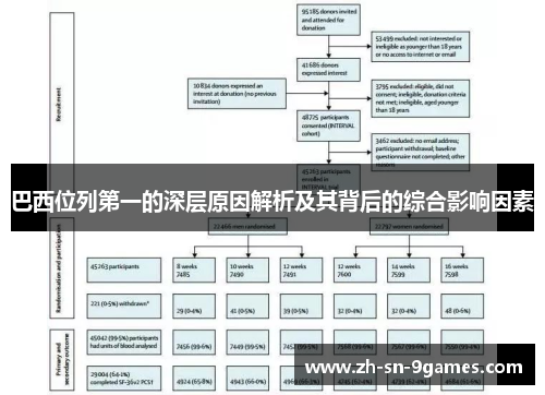 巴西位列第一的深层原因解析及其背后的综合影响因素